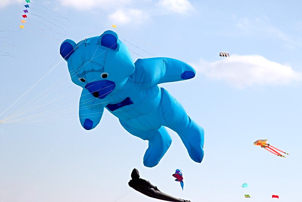 Cerfs-Volants vliegerfestival festival festiviteit evenement event berck sur mer vlieger speelgoed strand